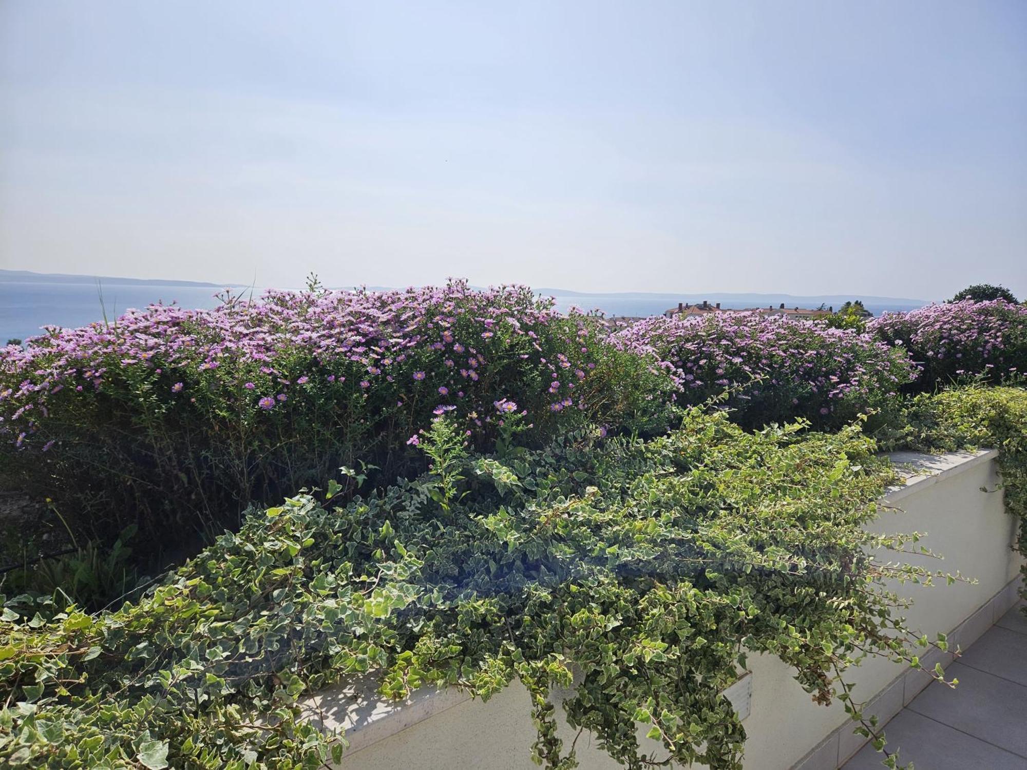 Guest house Tajla Split